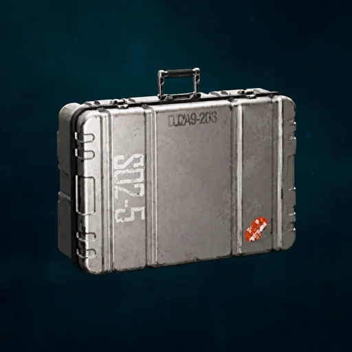 Case Privileges